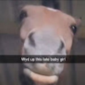 Meet your Posher, Asimplehumanbeing